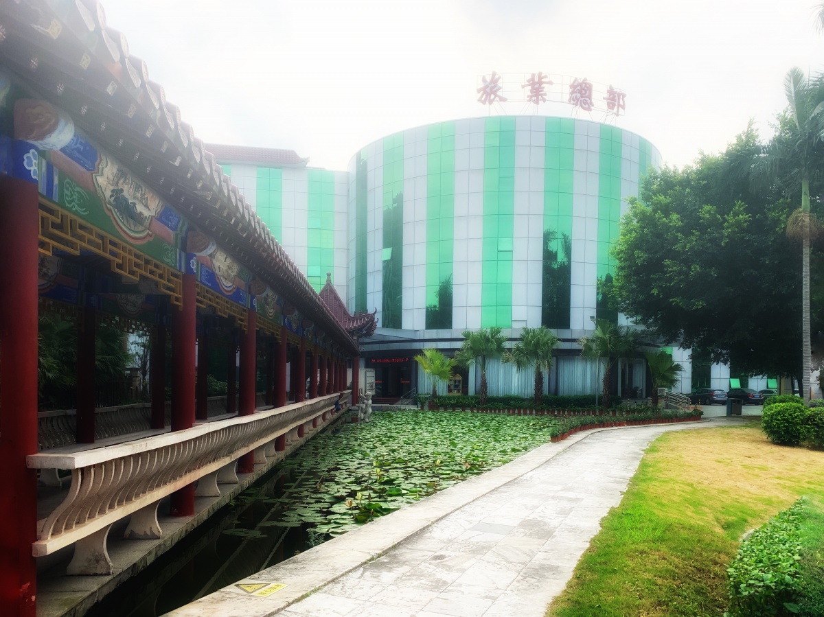 ������ʦ�ʸ�֤��ο�ȡ,��Ҫѧʲô�������?