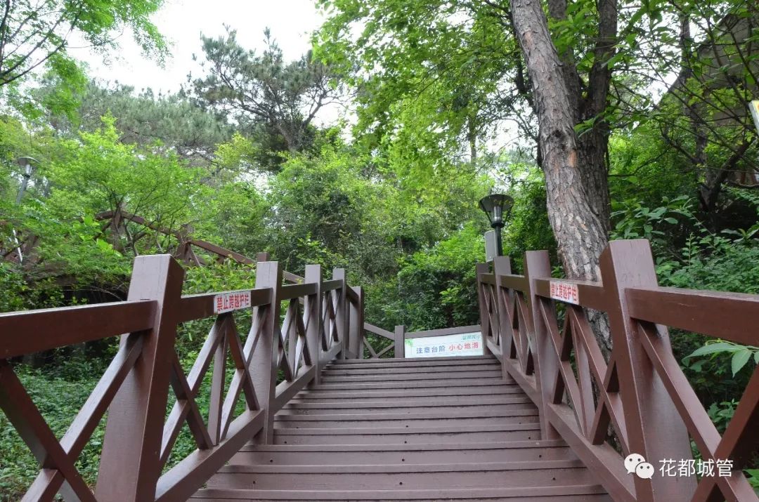 【旅游】九号线旁竟藏了一座绝美森林大氧吧