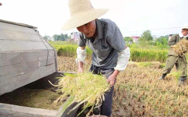 这五种人的“养老金”可能会受限,甚至领不到,最好了解一下 pp电子游戏平台官网