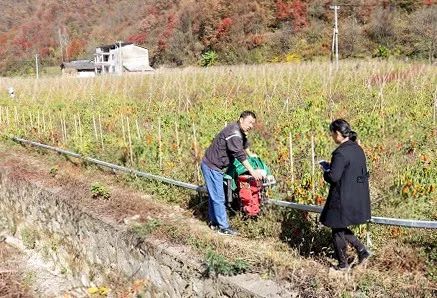 农村外来人口_桐乡市梧桐街道城东村(2)