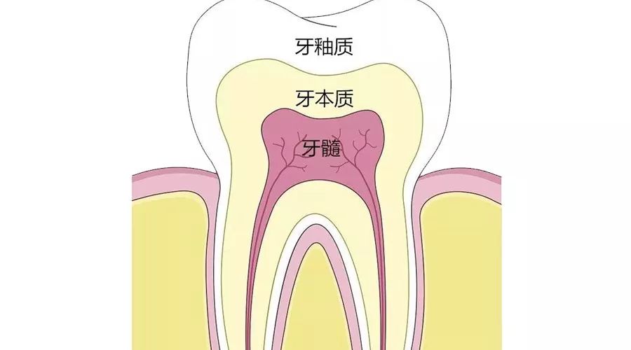 乳牙龋齿危及恒牙3招防患