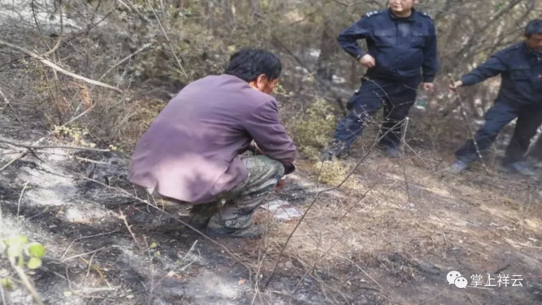 祥云象鼻新村赵某某故意放火烧山,以身试法,终落法网!