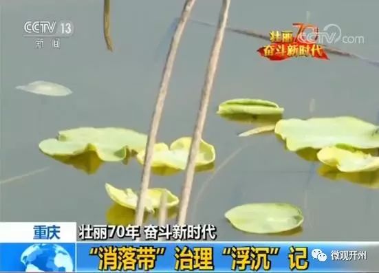 6分49秒,开州再上央视! 永盈会投注官网