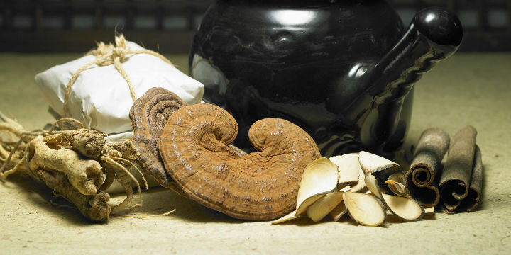 中药壮阳药排行榜_聚焦药交会,昆中药精品国药荣登家庭常备药排行榜