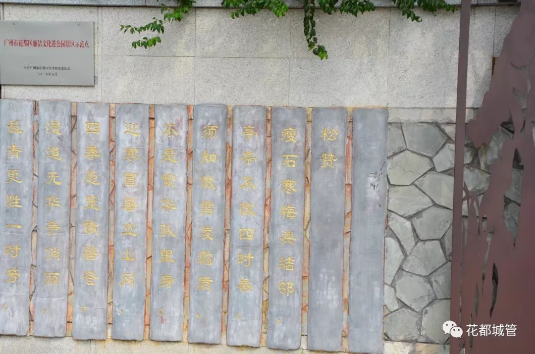 【旅游】九号线旁竟藏了一座绝美森林大氧吧