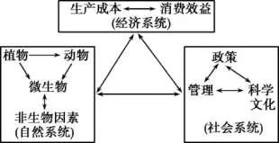 经济总量平衡是指6_平衡车(3)