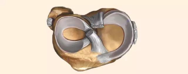 ڲ°