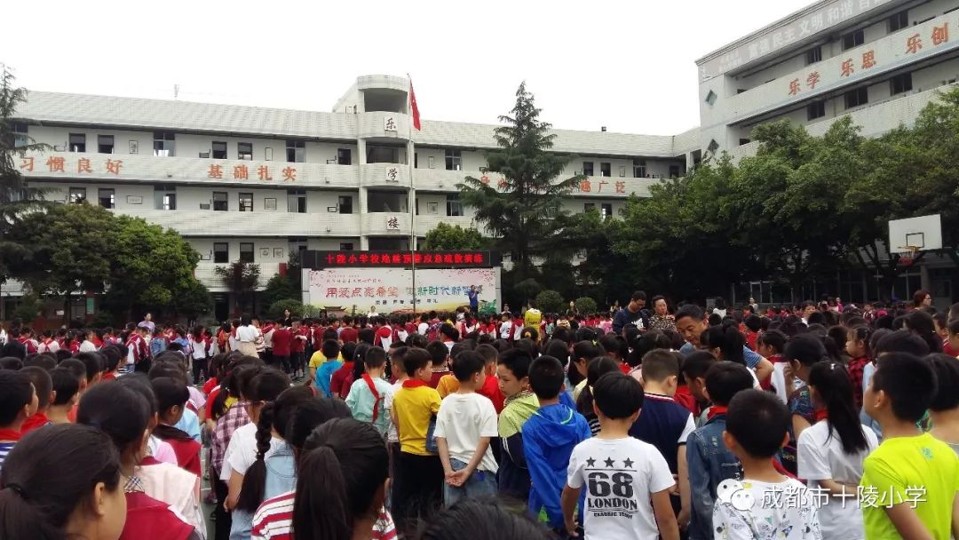 安全演练 | 十陵小学"防震演练 安全逃生"地震预警应急疏散演练简讯