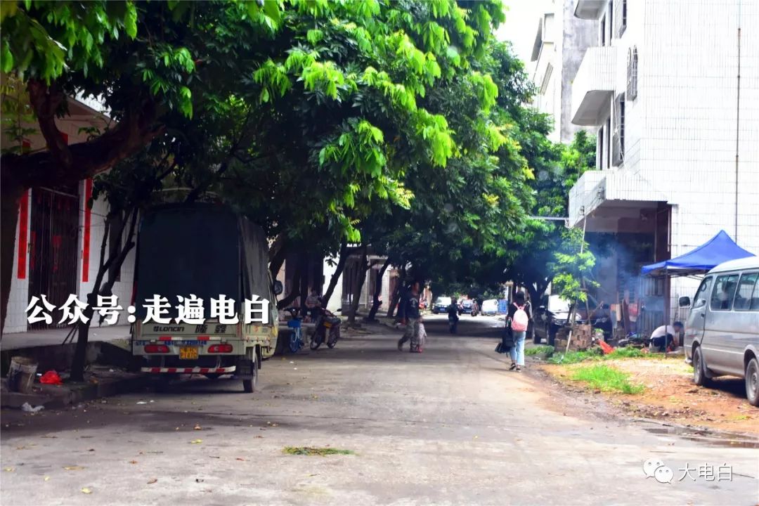 电白三角圩,为什么名震江湖!_电海