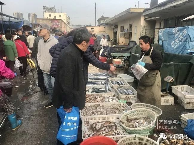 明日封海!烟台海鲜价格如何?封海后还有什么海鲜能吃?都替你打听好了! 老葡京娱乐