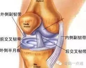膝关节筋拉伤怎么办