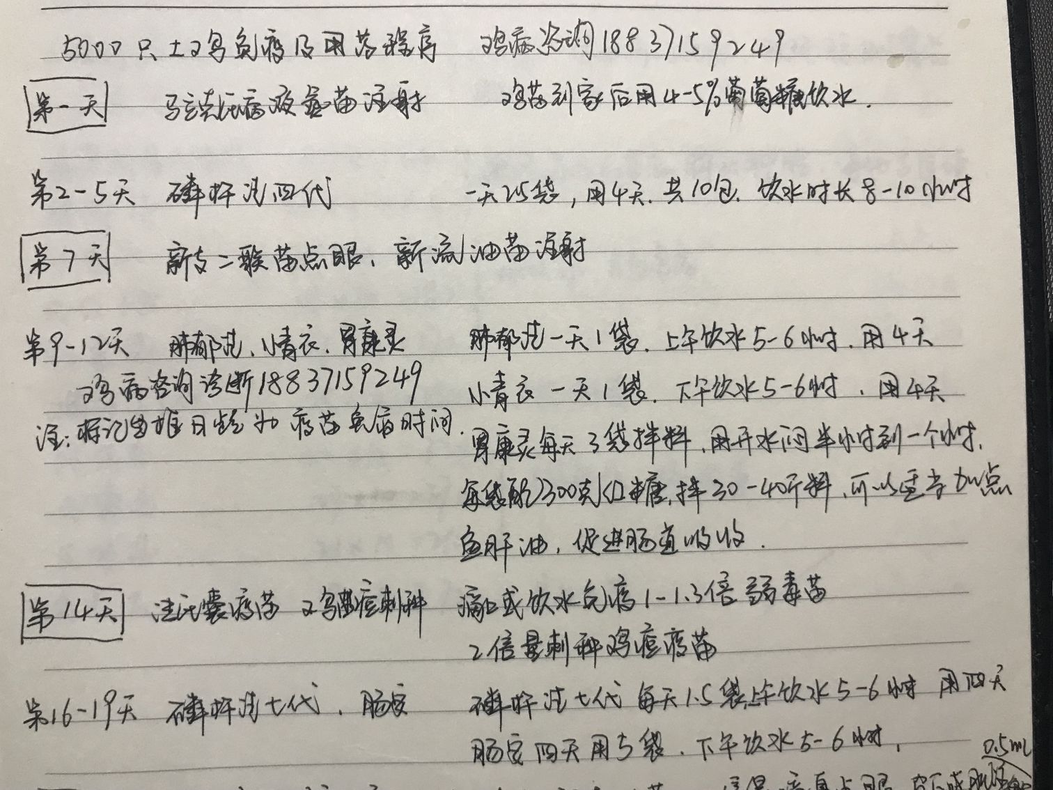 受伤鸡人口_人口普查(2)