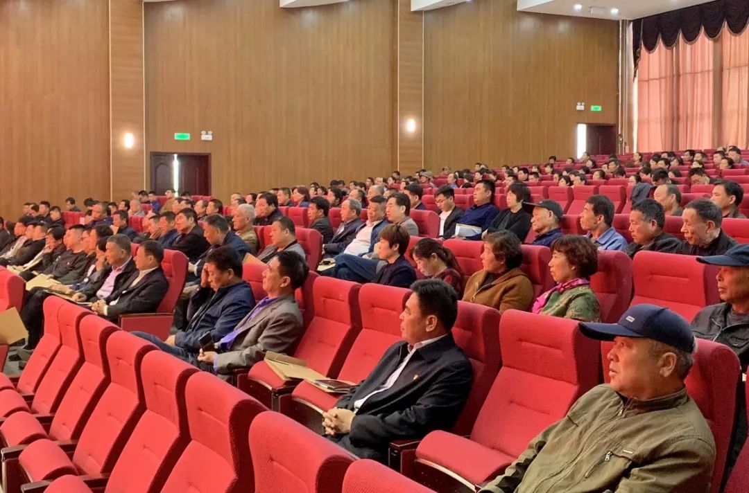 2019年农村经济_(参见《农村绿皮书:中国农村经济形势分析与预测(2018~2019)》...