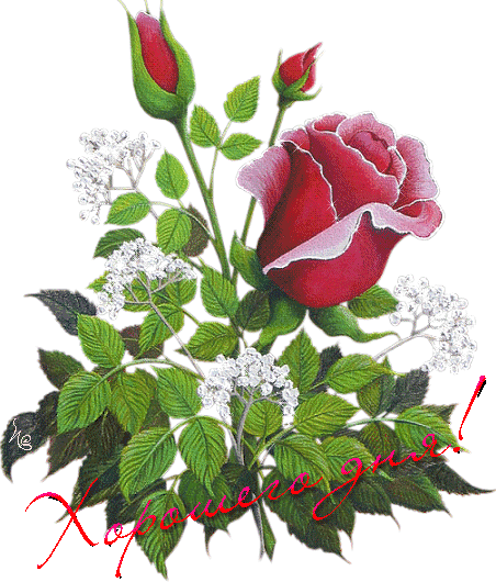                     宝宝单侧鼻塞谨防鼻腔异物