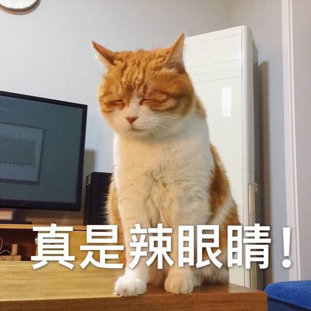 c9fd55c3260b481db2e5dfa50e37eada.jpeg