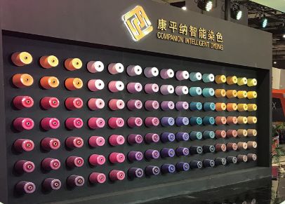 新泰经济总量_新泰张宸(2)