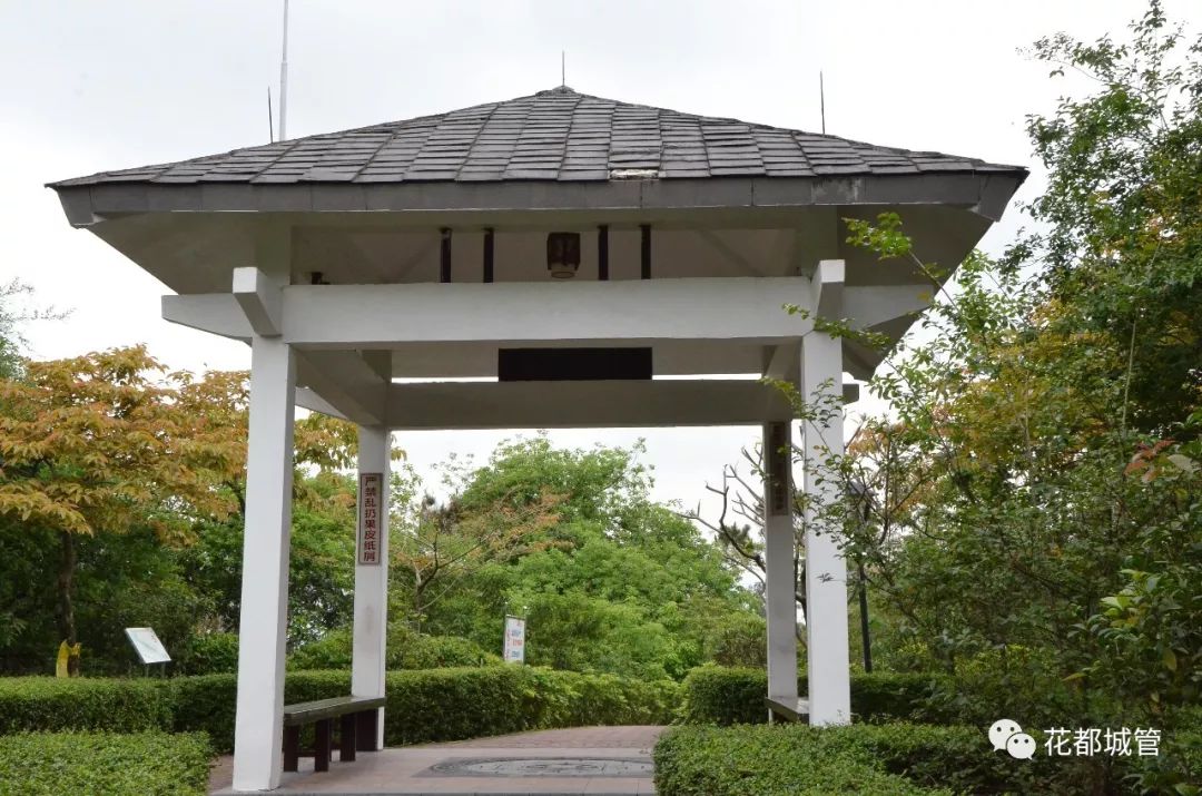 【旅游】九号线旁竟藏了一座绝美森林大氧吧