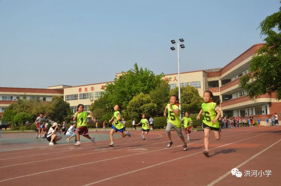 校园风采 | 洪河小学运动会特辑:精彩比赛瞬间