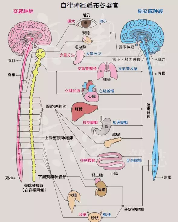 e6ea6ac57bc341c49fefc822958a70f7.jpg