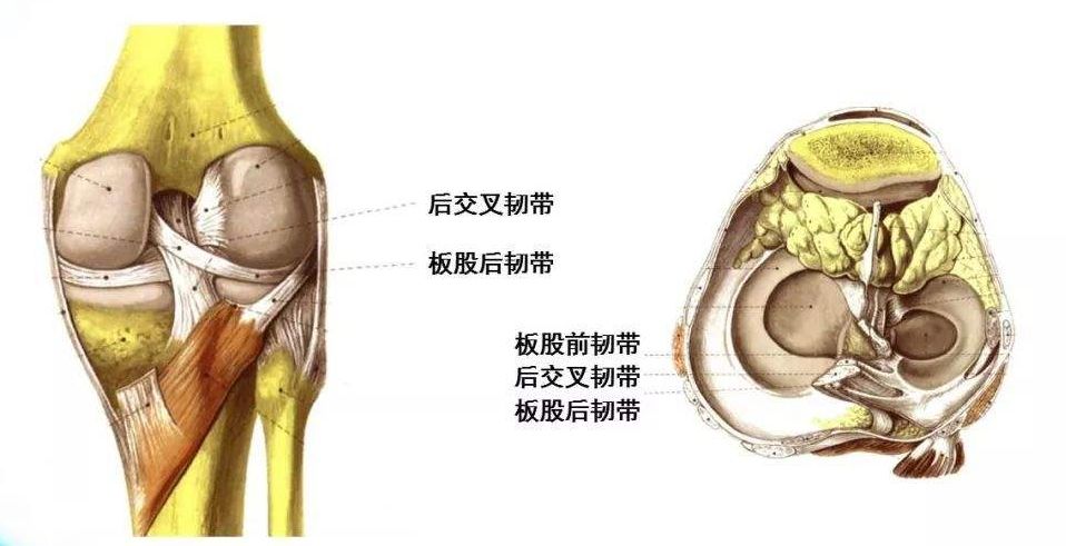 膝关节筋拉伤怎么办