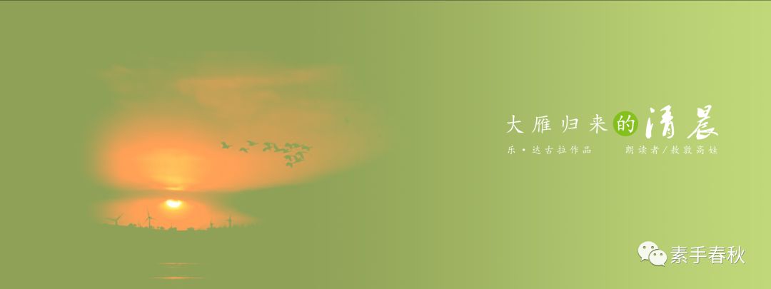 文章配图-10