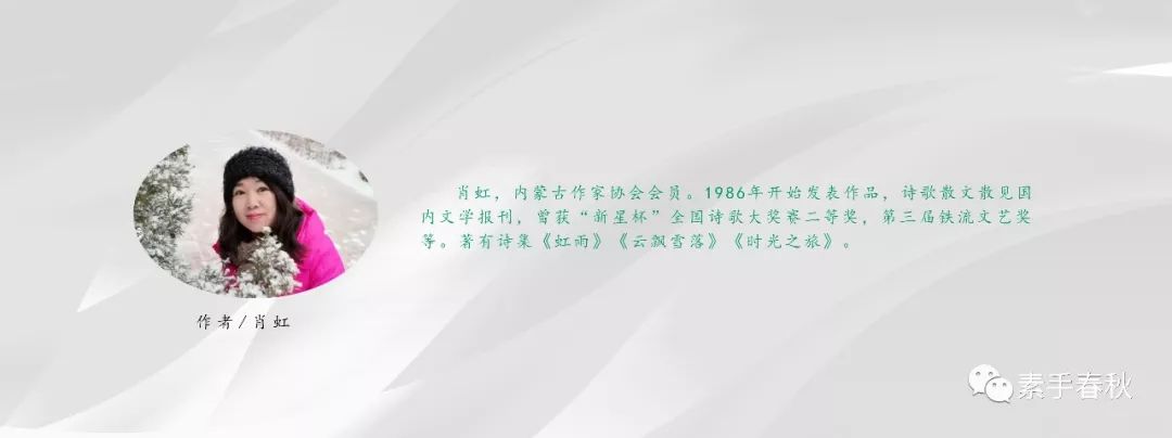文章配图-12