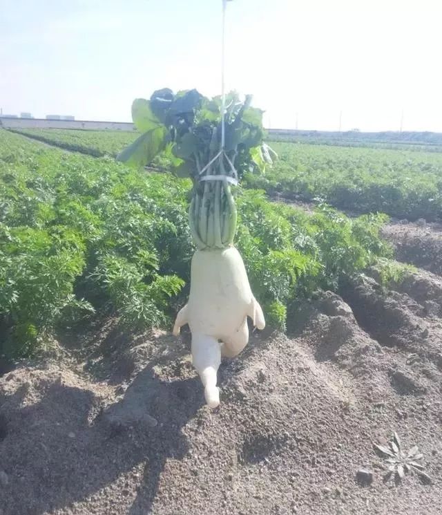 今天班主任发现一个手机,问是谁的没人说,然后他就摔了。 后来发现,是生物老师的。 太阳城网址