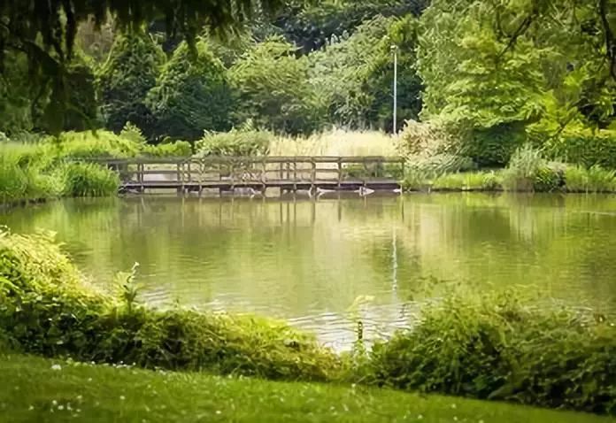 诗词 | 腹有诗书气自华,最美不过书香气