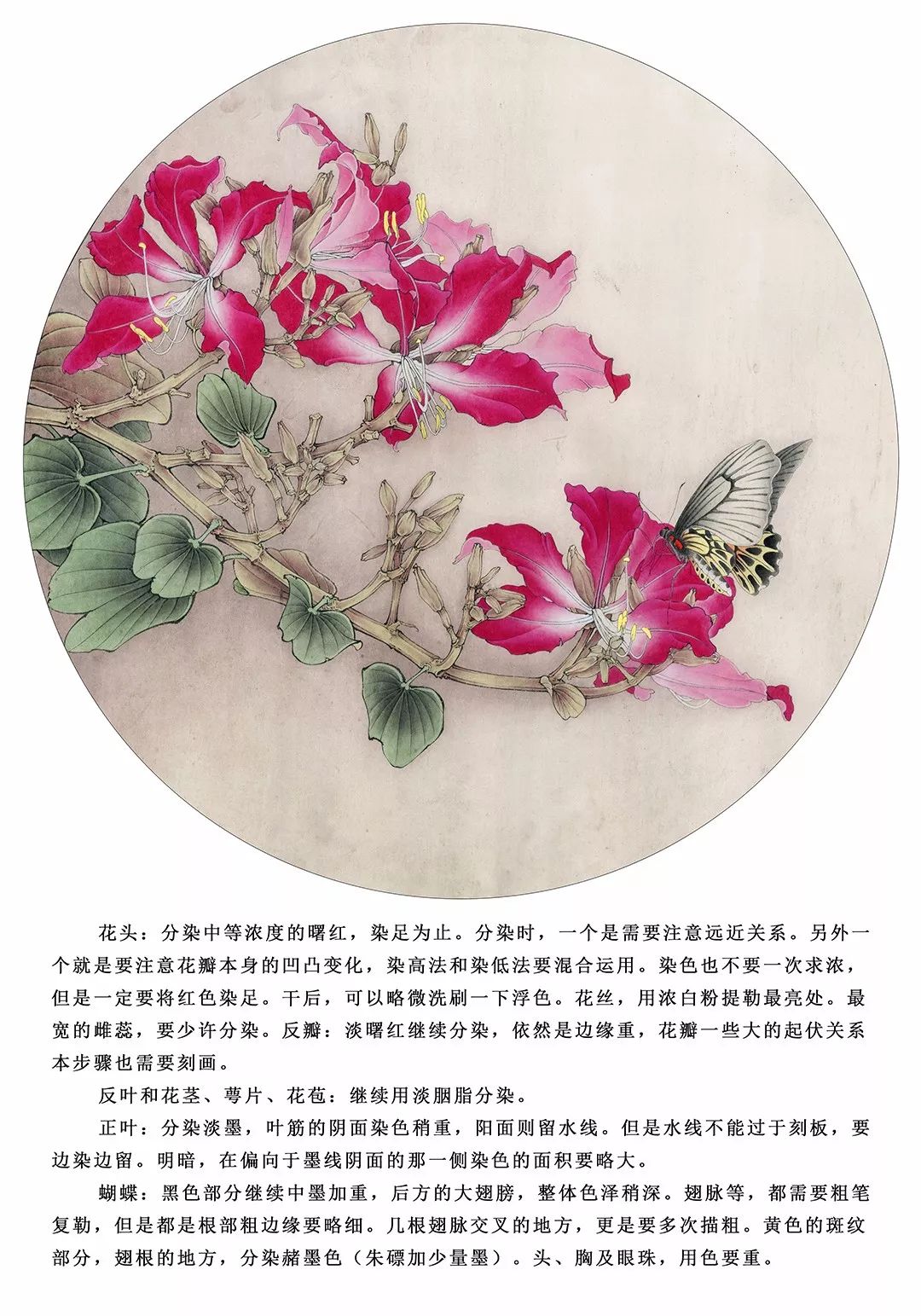 【国画教程】李晓明《凤蝶紫荆花》绘制步骤!