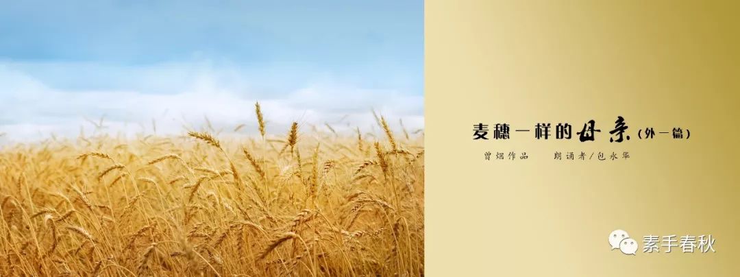 文章配图-24