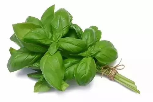 2d05594b6fd54a0785fbc7a05c3c15a6.jpeg