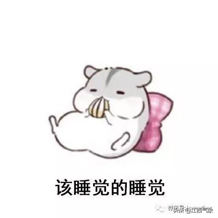 2f827289cb7d474ea38422f051e10eb3.jpeg