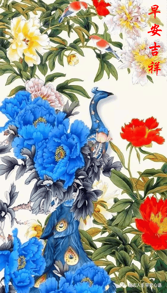 52星期四《早安心语》∮