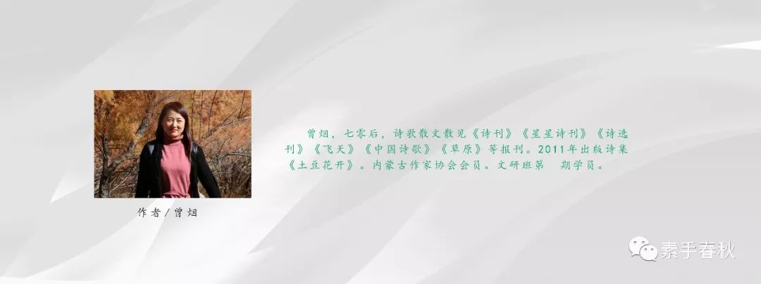 文章配图-25