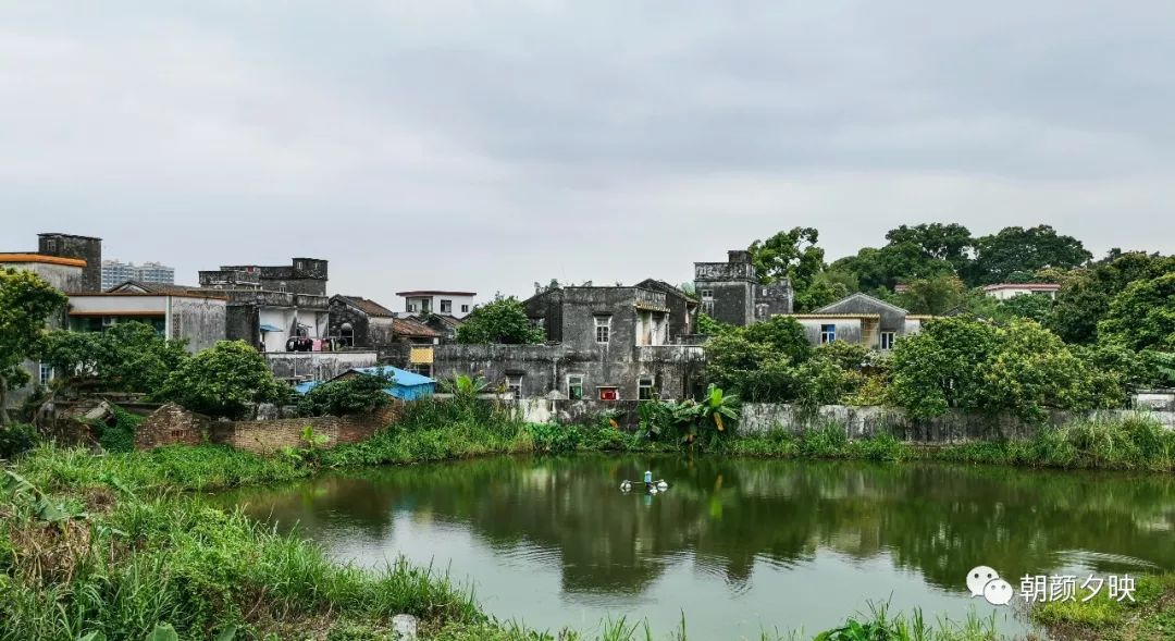 画面唯美!来中山这些网红"拍照圣地"打卡,一起来场穿越之旅