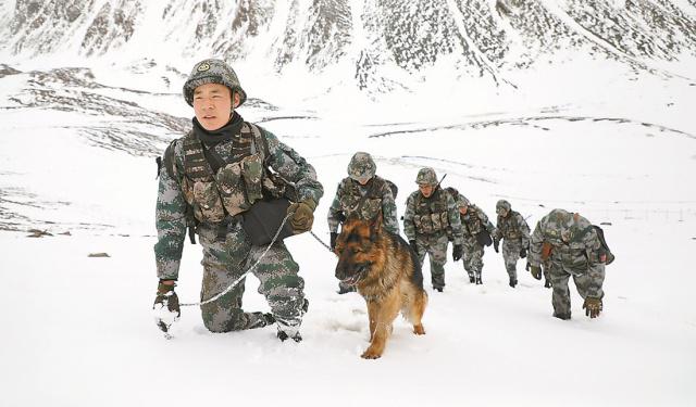 普贝斯带你了解军犬不为人知的生活。 澳门皇冠线上网站