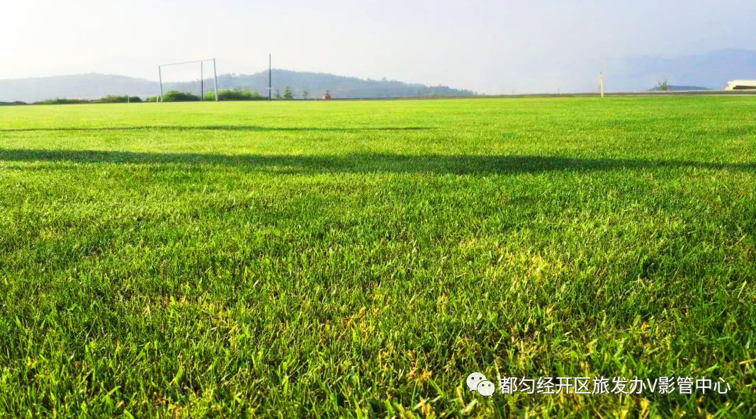 贵州都匀市经济开发区人口总量_贵州黔南都匀市图片