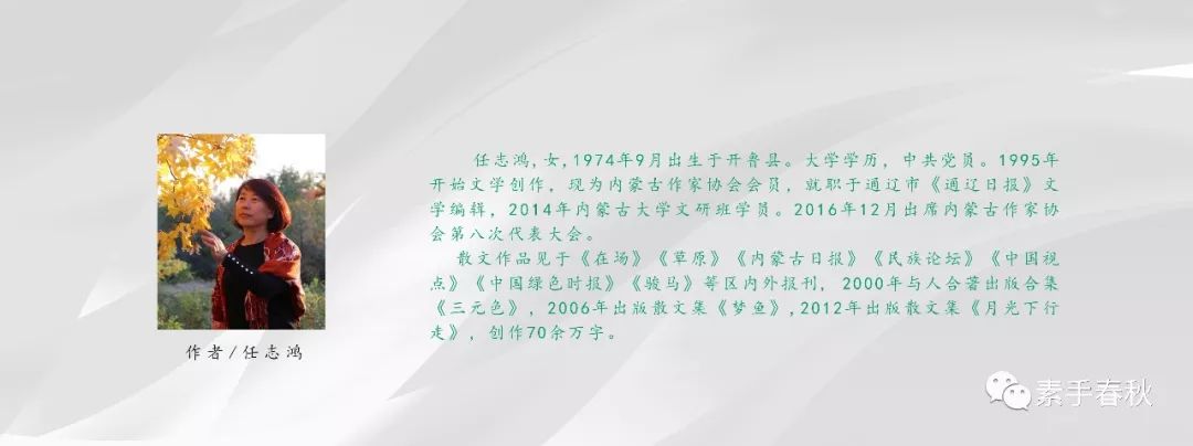 文章配图-27