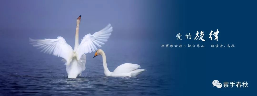 文章配图-28