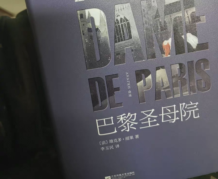 雨果在《巴黎圣母院》中的5句名言,道尽了底层