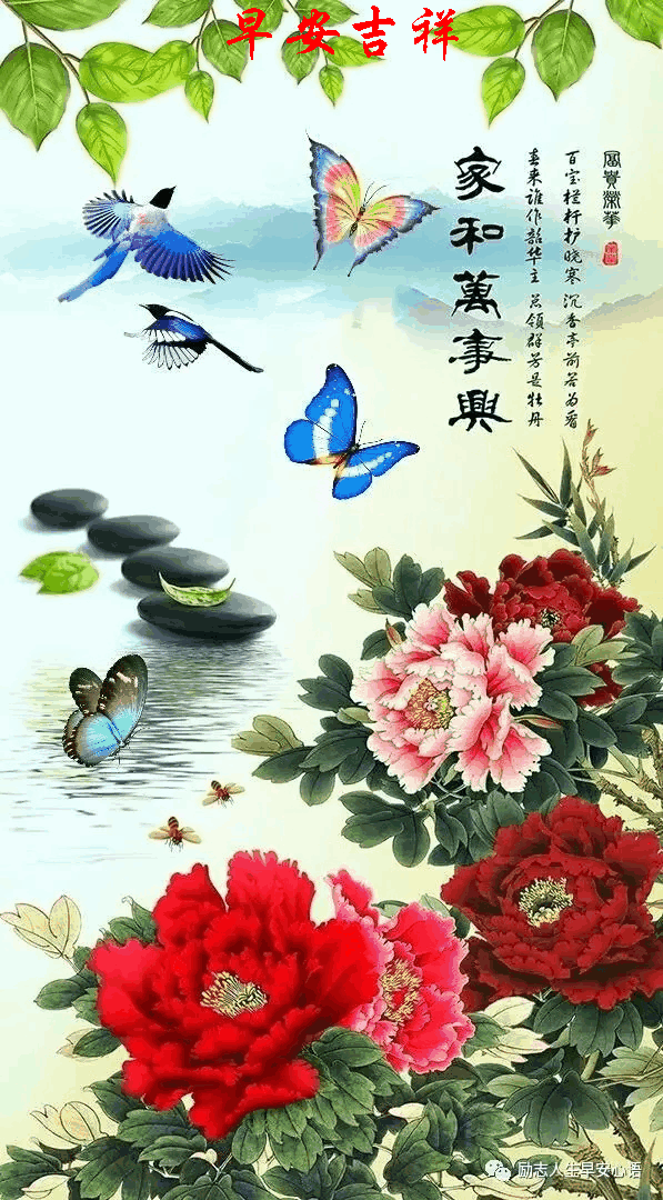 597_1080竖版 竖屏gif 动态图 动图