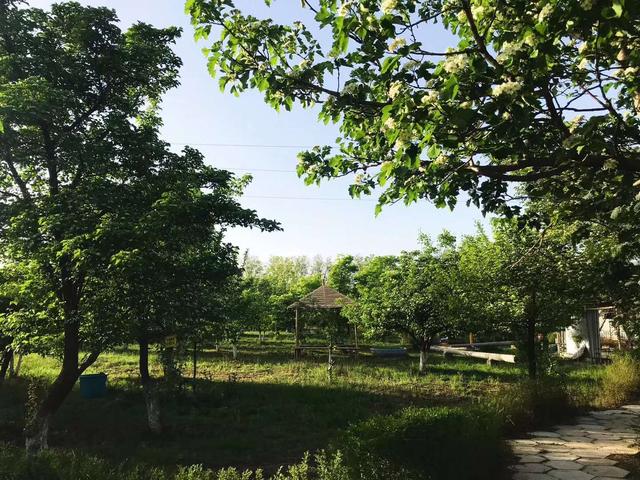 陕西永寿:五一槐乡”行,云集生态园解锁农村旅游新玩法 澳门网络赌博平台
