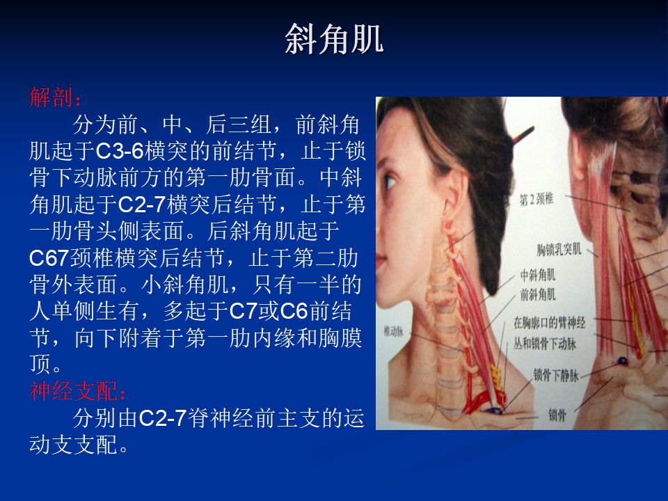 肩周炎针刀诊疗体表定位