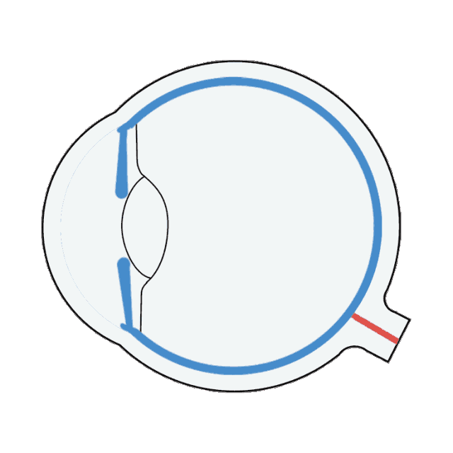 【全飞秒smile】