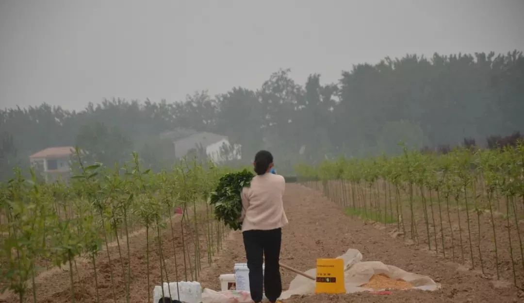 种地的人口_农民种地图片(3)