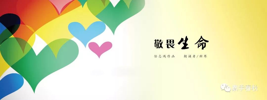 文章配图-26