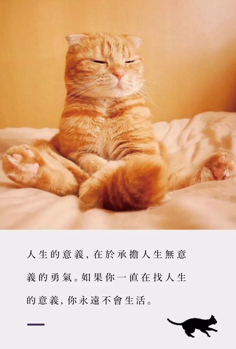 人生的意义, 在於承担人生无意义挠勇气.