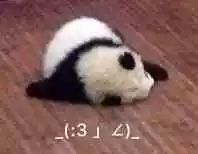 “我为什么和我爸喜欢上了同一首歌？”