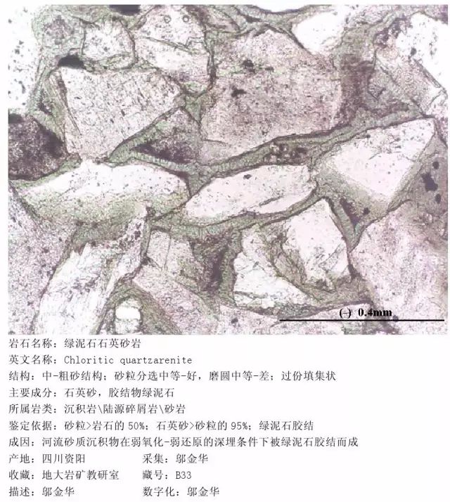 4,过渡型沉积岩(2张):包括自生沉积岩与陆源碎屑岩和泥质岩的过渡