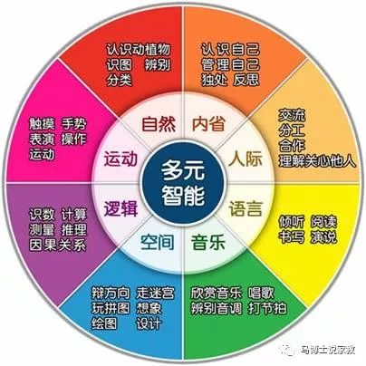 图1 多元智力理论咱们刚才这个游戏里主要涉及了:自然观察力,人际智力